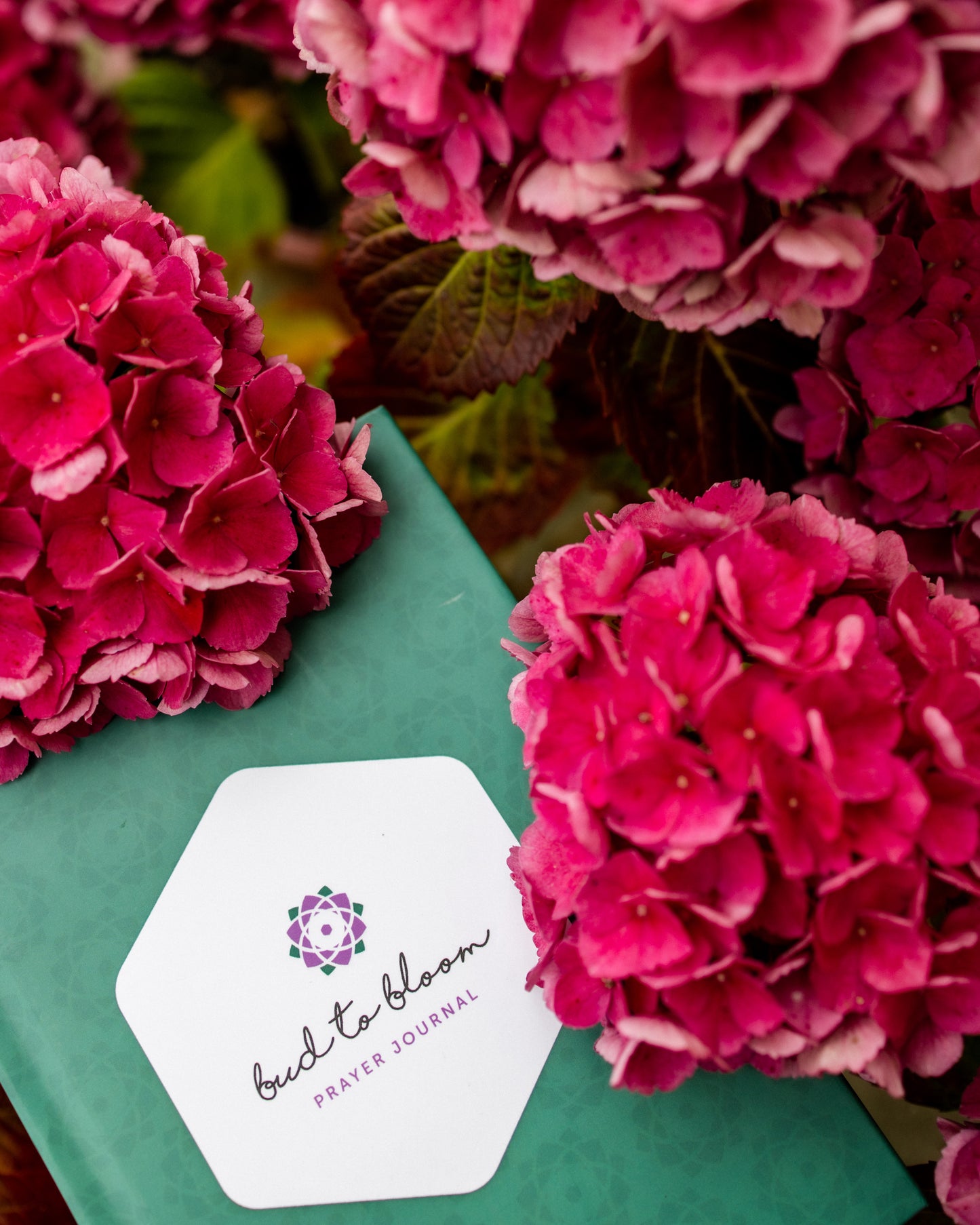 Bud to Bloom Prayer Journal
